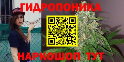 гашик Краснокаменск